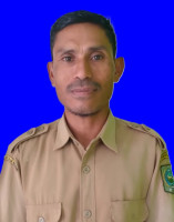 Tasrif